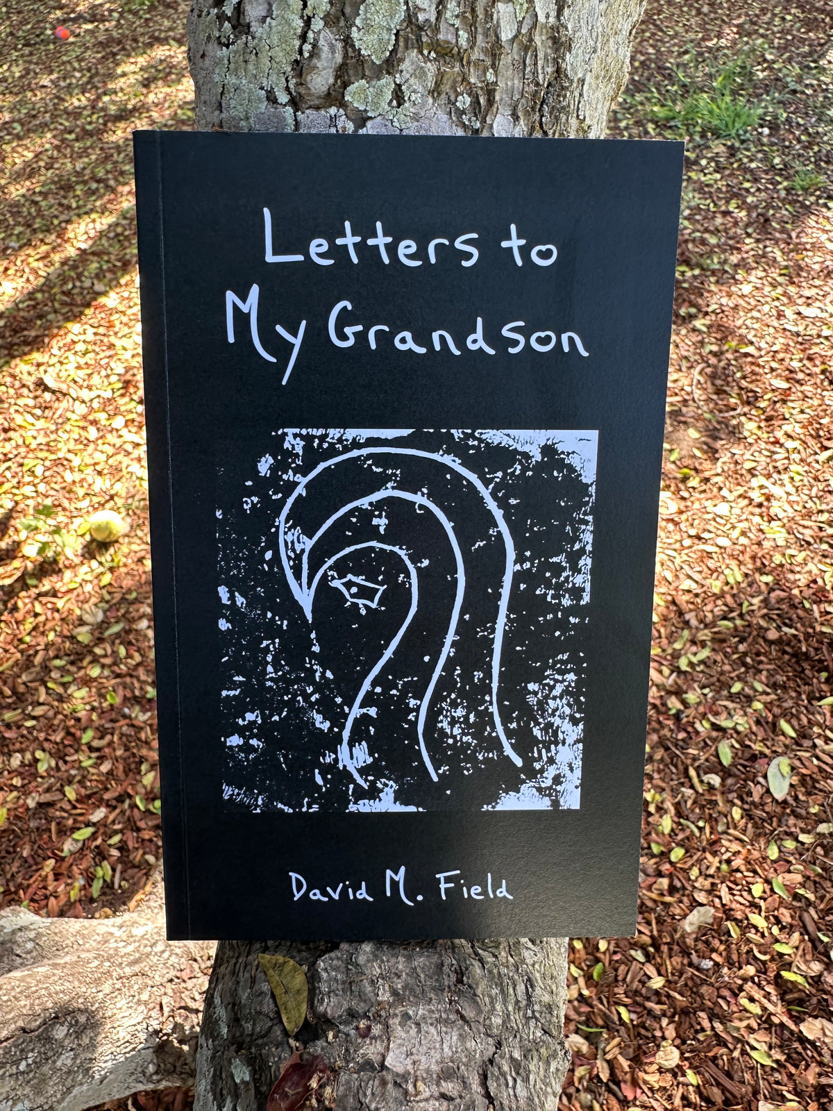 Letters to My Grandson - David M. Field.