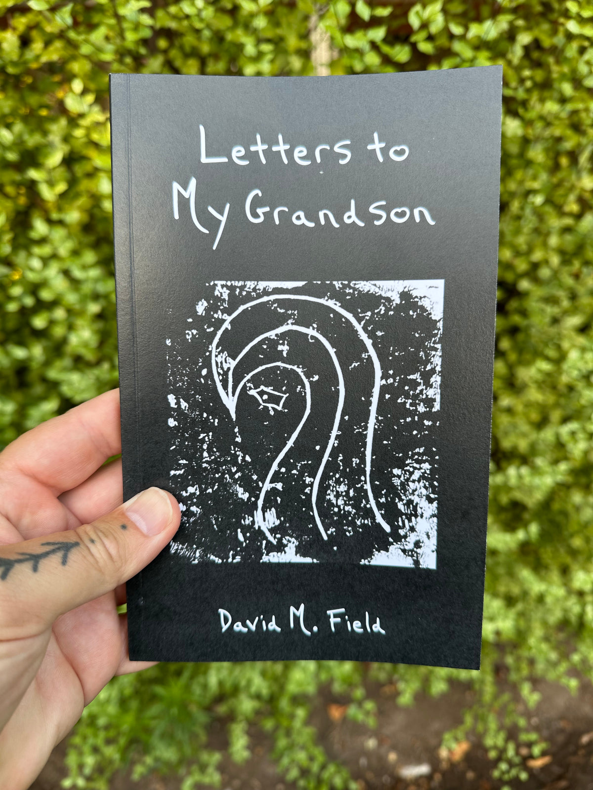 Letters to My Grandson - David M. Field.